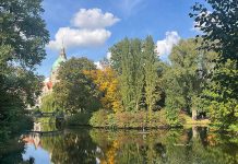 Am Tag der Deutschen Einheit zeigte sich Hannovers Herbst von der schönsten Seite Herbst im Maschpark von Hannover. Wer genau hinsieht: Auf der kleinen Plattform inmitten des Maschteiches hält ein Reiher Ausschau.